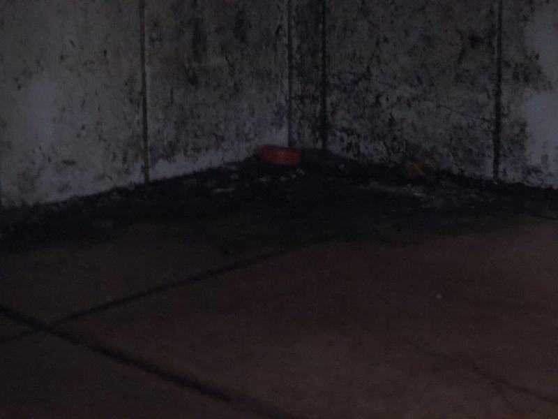 Hospoda Obděnice, Petrovice