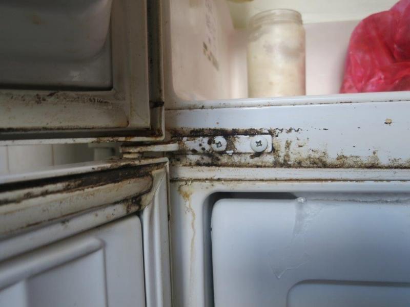 Hospoda Obděnice, Petrovice