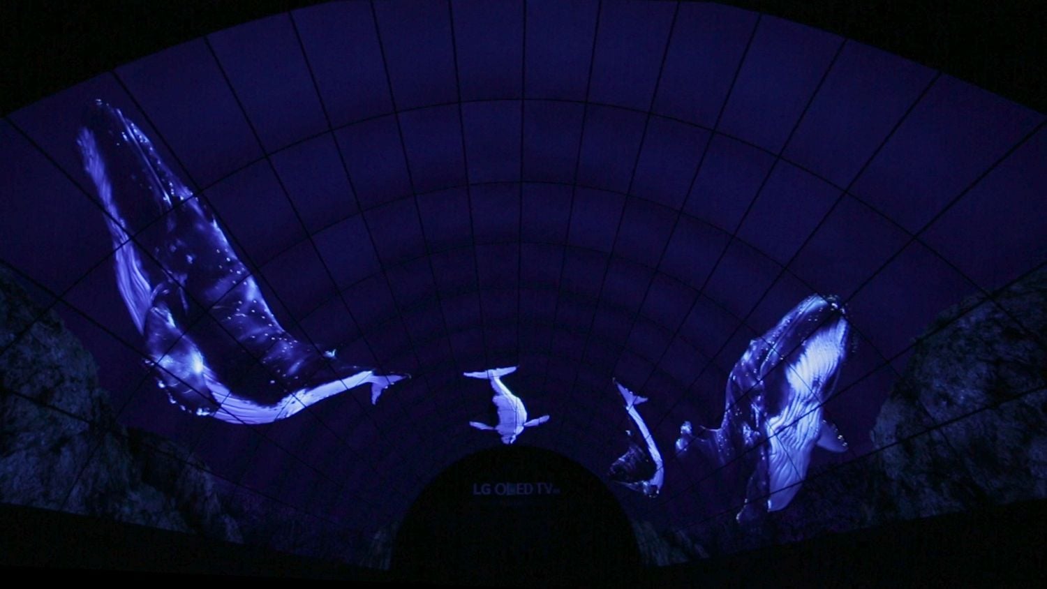 IFA 2016 - LG OLED tunel