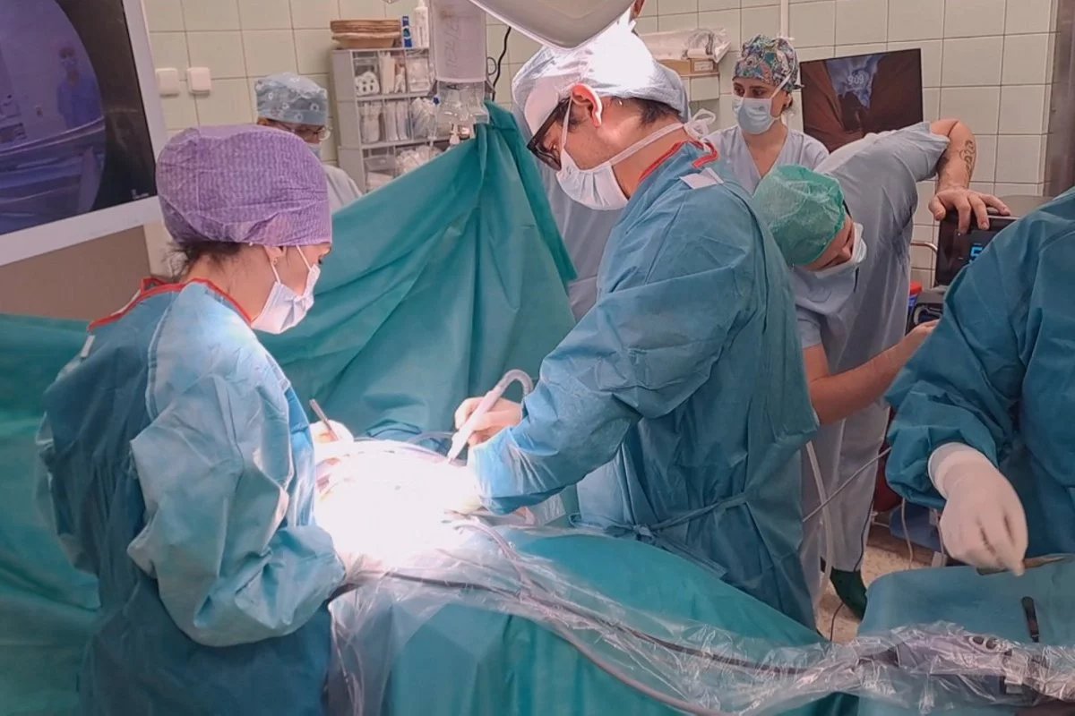 Lékaři ve Fakultní nemocnici Bulovka dokáží operovat plíce skrze „klíčovou dírku“.