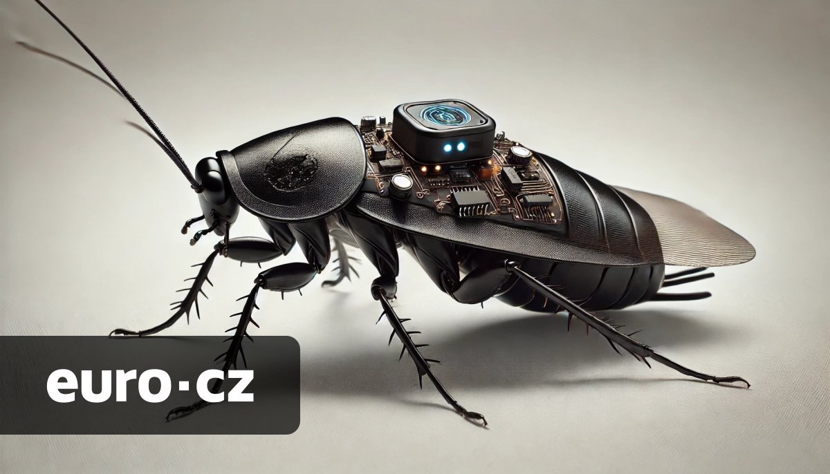 Brouci záchranáři? Australská univerzita pracuje na biohybridních robotech, mají pomáhat při přírodních katastrofách