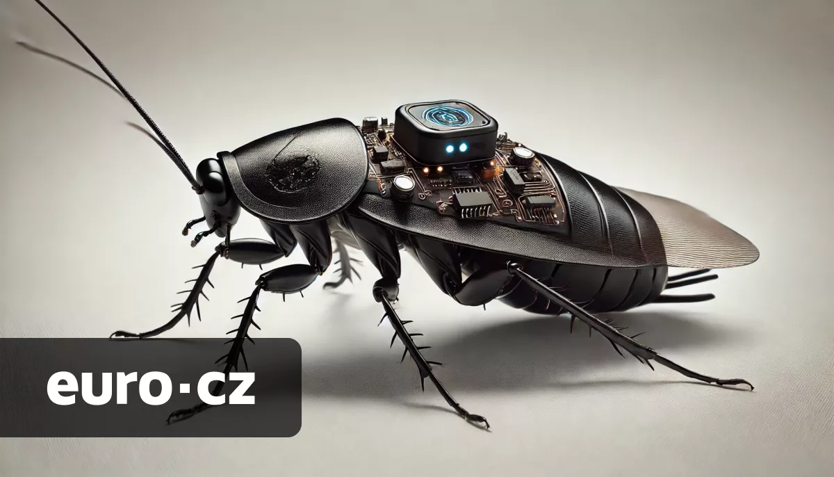 Brouci záchranáři? Australská univerzita pracuje na biohybridních robotech, mají pomáhat při přírodních katastrofách