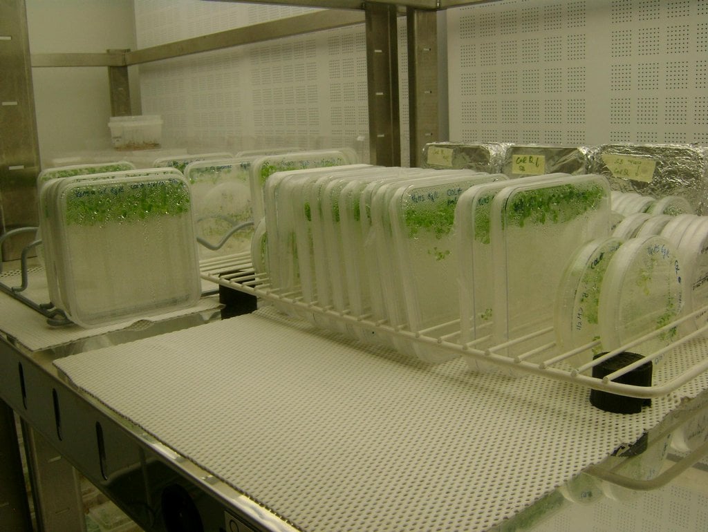 2019-02-centrum-regionu-hanc3a1-pro-biotechnologickc3bd-a-zemc49