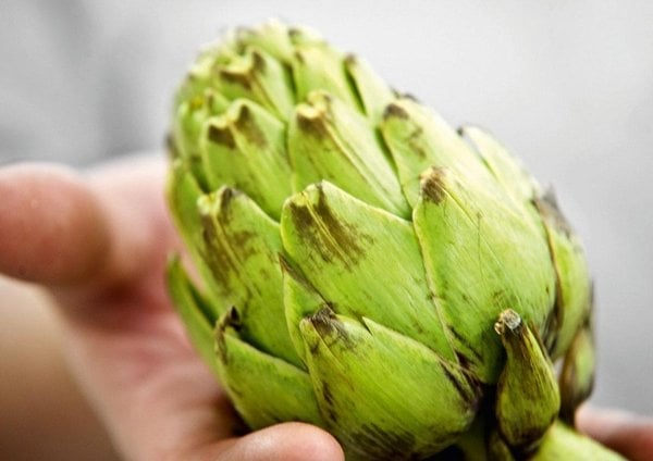 2019-03-hc599bet-ze-c5a1umavskc3a9ho-jehnc49bc48dc3adho-s-plnc49