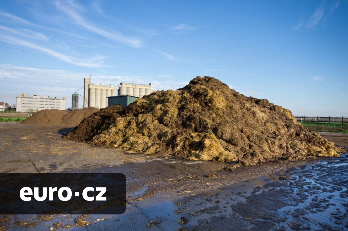 Ze zapáchajícího odpadu vzniká ekologický poklad. V Japonsku přeměňují kravský hnůj na vodíkové palivo