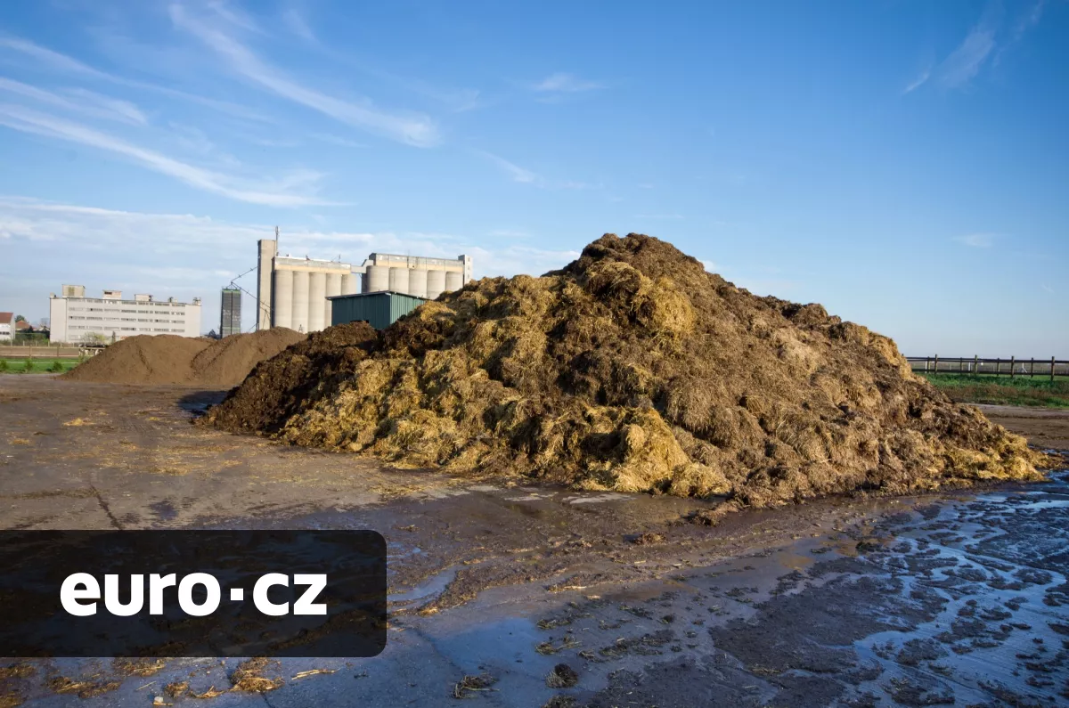 Ze zapáchajícího odpadu vzniká ekologický poklad. V Japonsku přeměňují kravský hnůj na vodíkové palivo