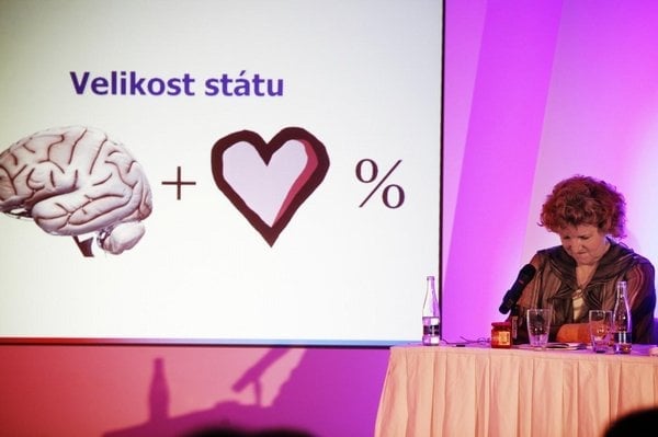 2012-08-policie-chce-stc3adhat-parkanovou-kvc5afli-letounc5afm-c