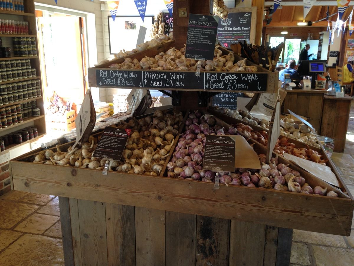 Česneková farma The Garlic Farm