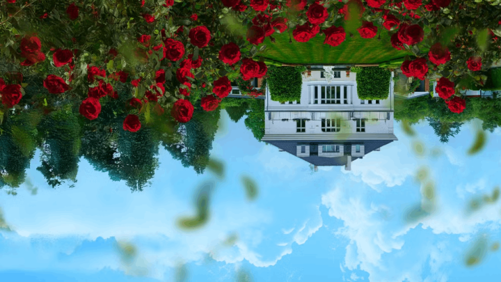 Autor: OnePlay The Fall of the House of Koller