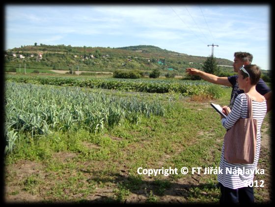 Asociace farmářských trhů