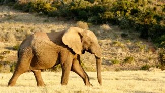 Rozšíření PostgreSQL jménem pgvector, embedding a sémantické vyhledávání (1. část)