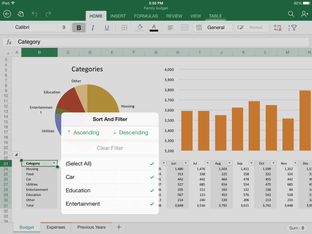 Office pro iPad