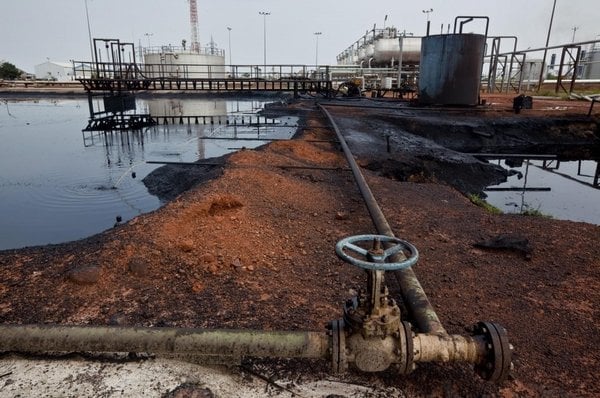 2014-01-jic5benc3ad-sc3badc3a1n-slavc3ad-rok-nezc3a1vislosti-eko