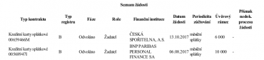 Výpis z registrů BRKI a NRKI