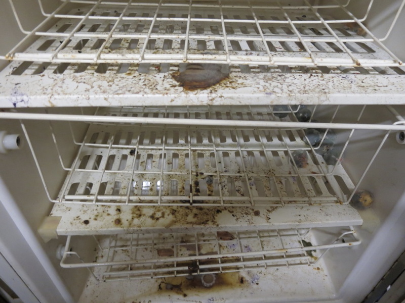 Pivnice na Dvorci (kontrolovaná osoba Gabriela Slatavová) na Svitavské ul. č. 472, Jevíčko. V provozovně inspektoři zjistili výskyt myšího trusu a dlouho nevynesený odpad. Stav provozovny celkové neodpovídal základním hygienickým požadavkům – stěny i zařízení pokrývala vrstva mastných nečistot a prachu, některá zařízení pokrývala plíseň, na nezaizolovaných rozvodech vody se srážel kondenzát, který odkapával do znečištěných mokrých hadrů na podlaze. SZPI na místě uložila zákaz užívání prostor.