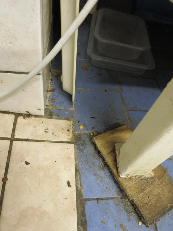 Pivnice na Dvorci (kontrolovaná osoba Gabriela Slatavová) na Svitavské ul. č. 472, Jevíčko. V provozovně inspektoři zjistili výskyt myšího trusu a dlouho nevynesený odpad. Stav provozovny celkové neodpovídal základním hygienickým požadavkům – stěny i zařízení pokrývala vrstva mastných nečistot a prachu, některá zařízení pokrývala plíseň, na nezaizolovaných rozvodech vody se srážel kondenzát, který odkapával do znečištěných mokrých hadrů na podlaze. SZPI na místě uložila zákaz užívání prostor.