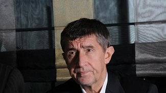 Náhledový obrázek - Babiš: V ČR by měly být dva systémy nemocnic - státní a krajské