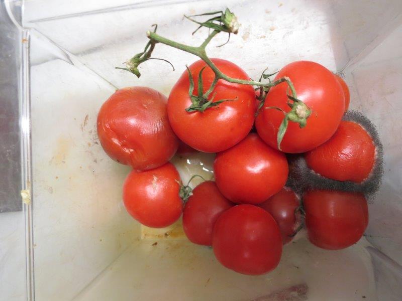 Vietnamese Thai Sushi Restaurace & Bar U Fugiho, Praha 1