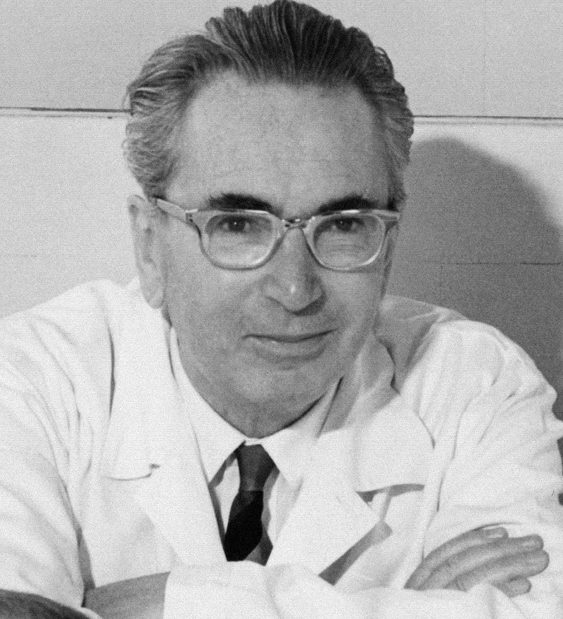 Viktor Emil Frankl (26. března 1905, Vídeň – 2. září 1997, Vídeň) byl rakouský neurolog a psychiatr, zakladatel existenciální analýzy a logoterapie.
Autor snímku Prof. Dr. Franz Vesely