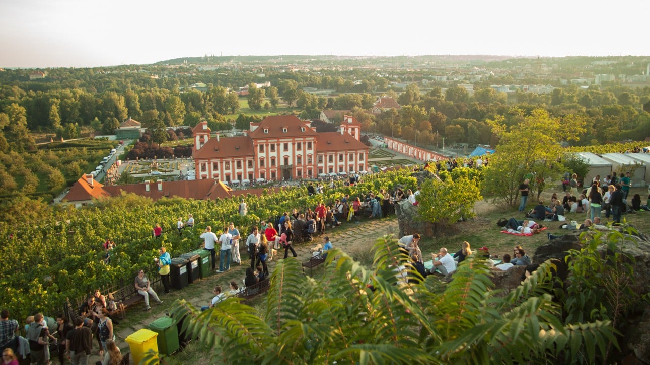 Již tento víkend vinobraní na vinici sv. Kláry