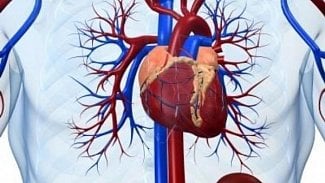 Náhledový obrázek - Lékaři v Brně poprvé v ČR vyšetřili srdeční tepny novou metodou