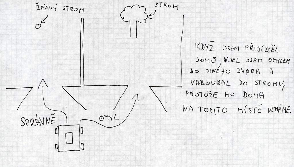 Ze dne na den tam narostl strom