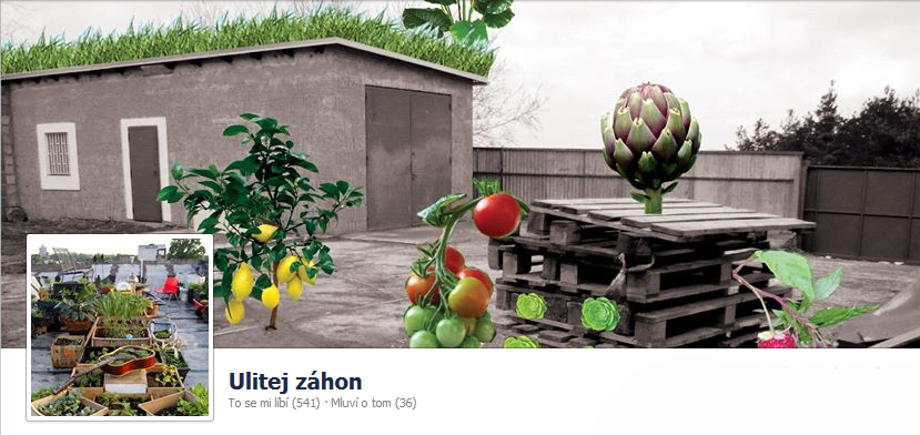 Ulitej záhon na Krejcárku