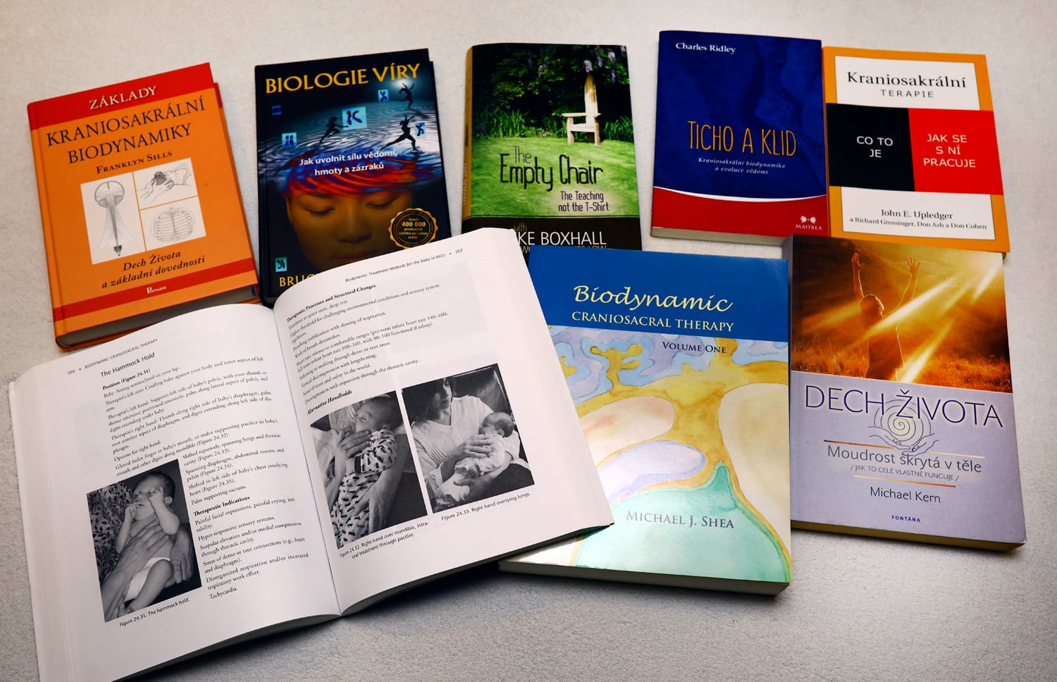 Odborná knihovna je podstatnou součástí pracovny.