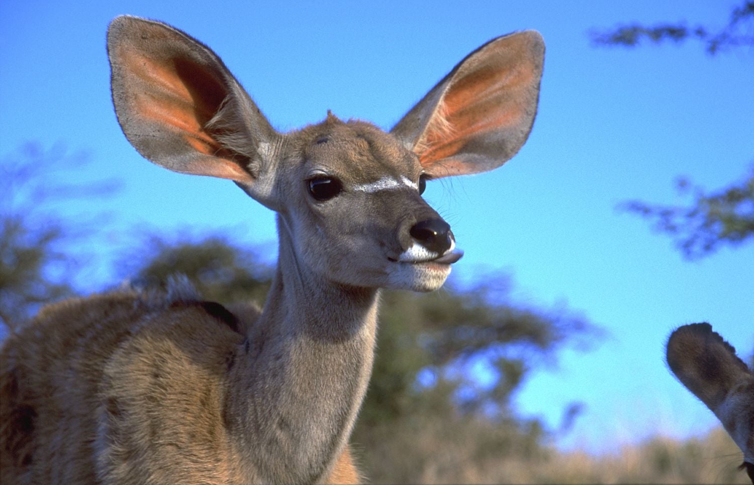 Prima Zoom - 18.-24.7.2016