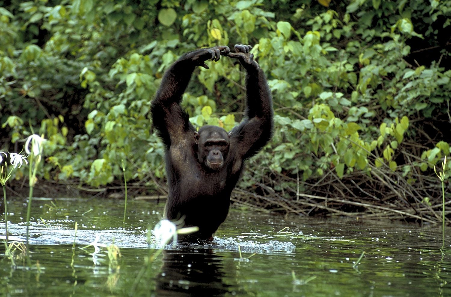 Prima Zoom - 18.-24.7.2016