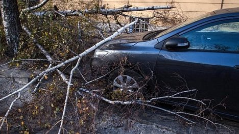 Náhledový obrázek - Prahou se prohnal vítr, lámal stromy a poškodil semafory