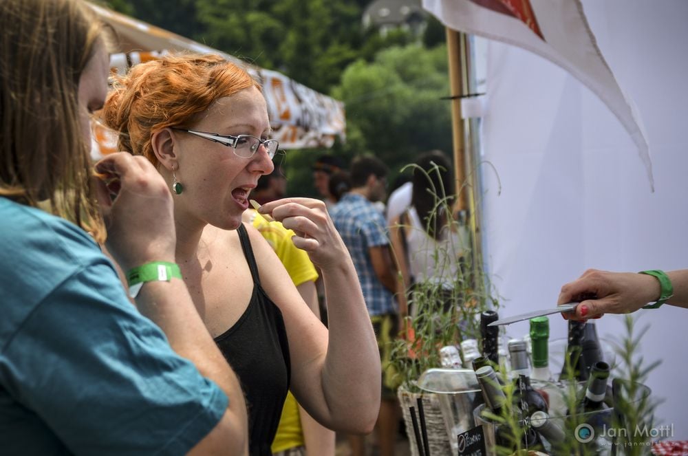 Food festival Všechny chutě světa