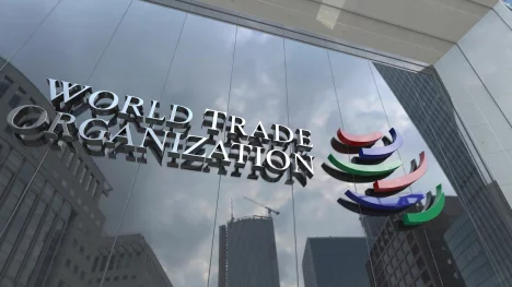 Náhledový obrázek - Globální obchod neprožívá zrovna nejlepší časy, říká šéfka WTO. Znepokojuje ji rostoucí protekcionismus i podkopávání pravidel