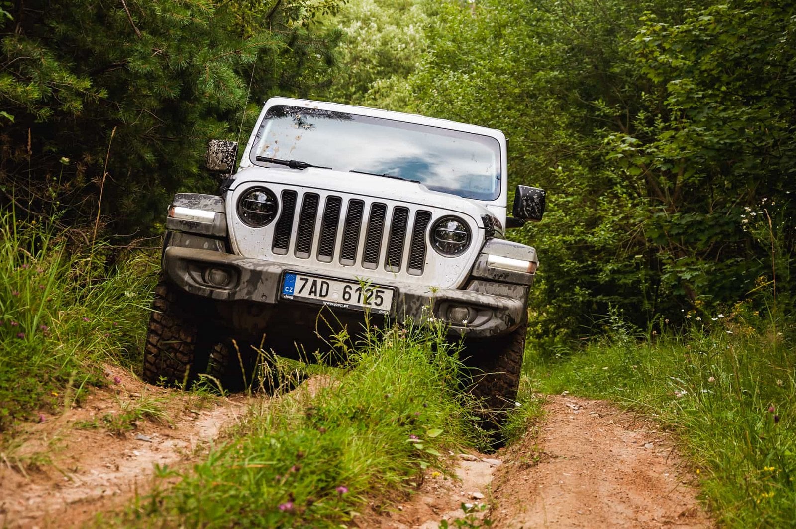 2019-08-jeep-wrangler-rubicon-48-of-67.jpg