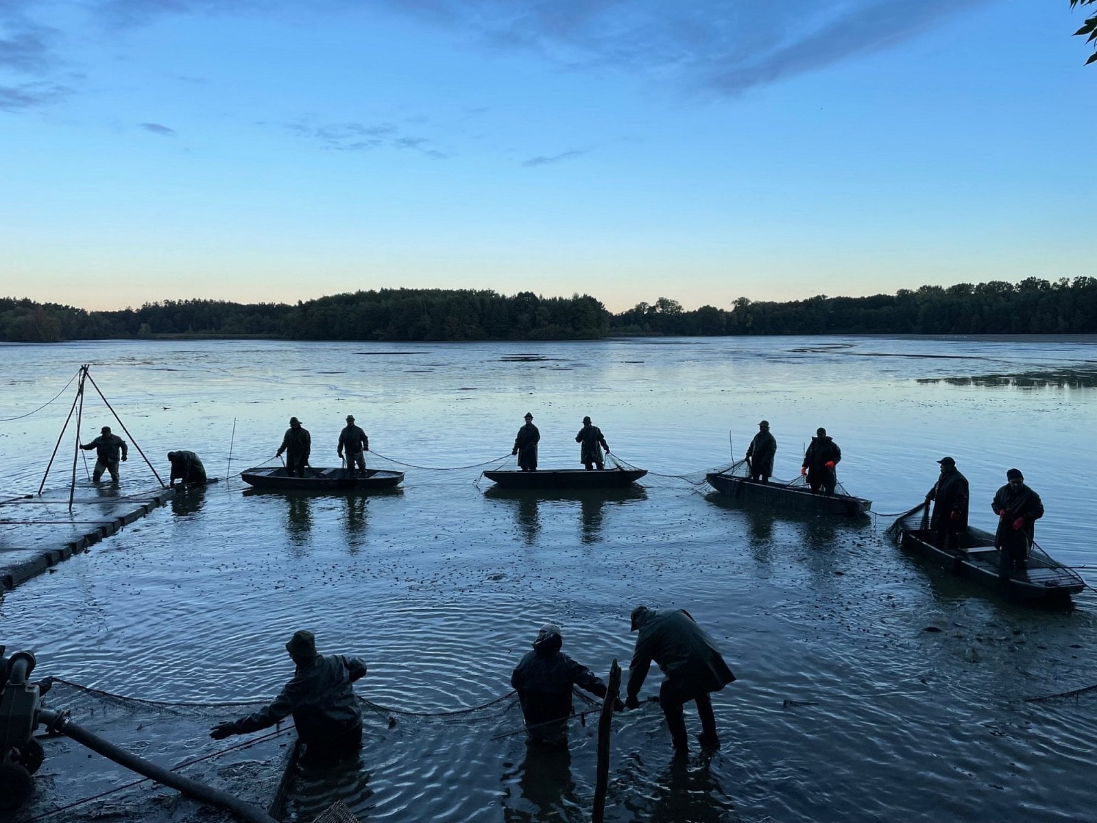 Rybniční hospodářství