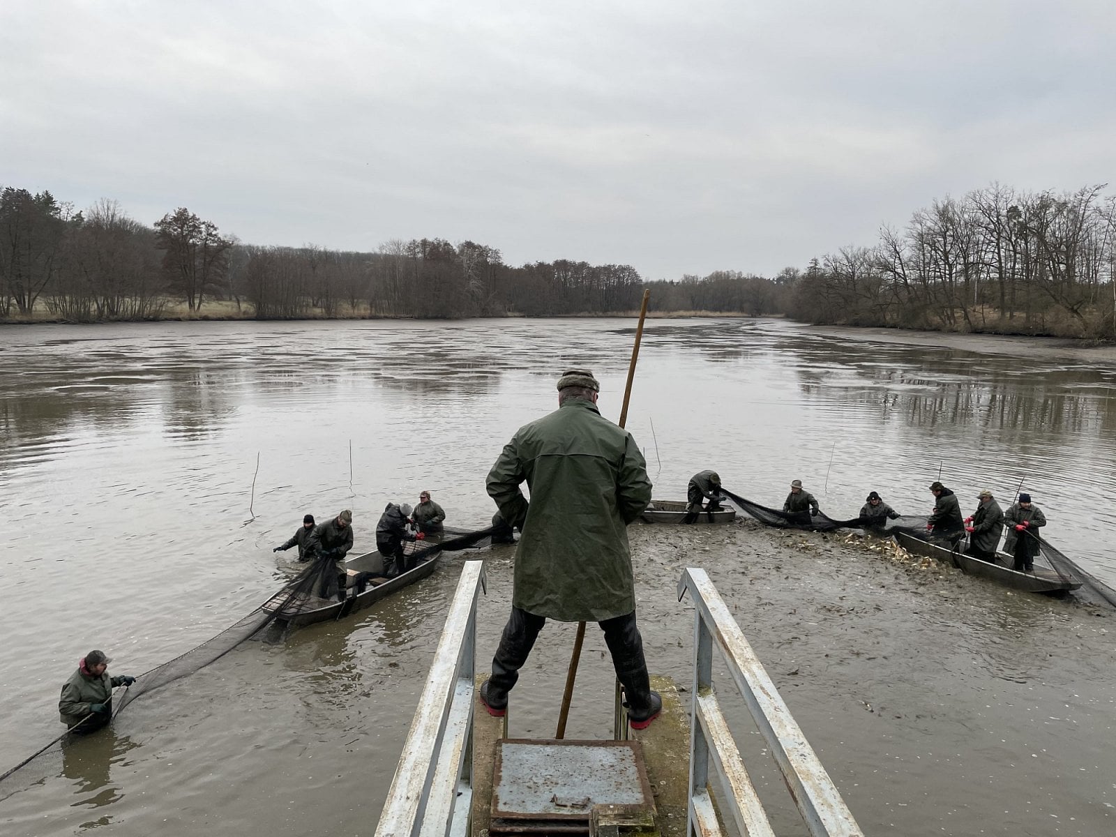 Rybniční hospodářství