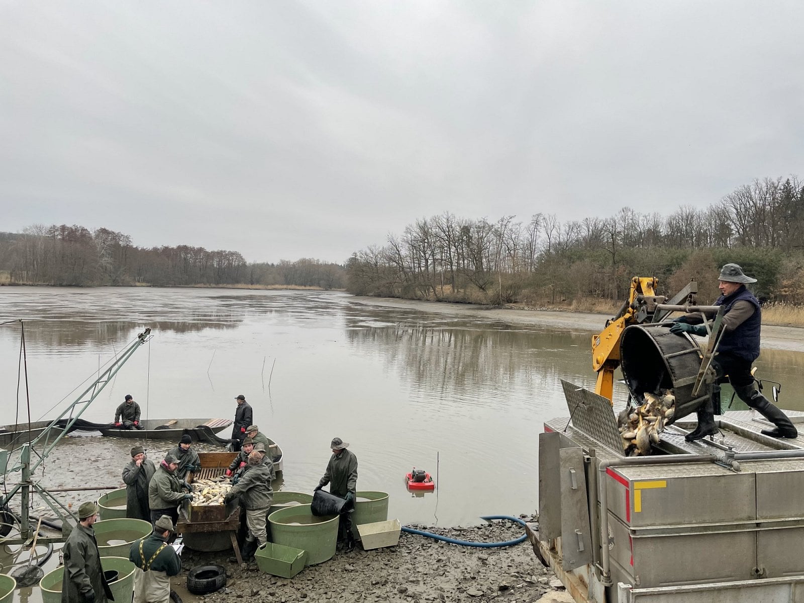 Rybniční hospodářství