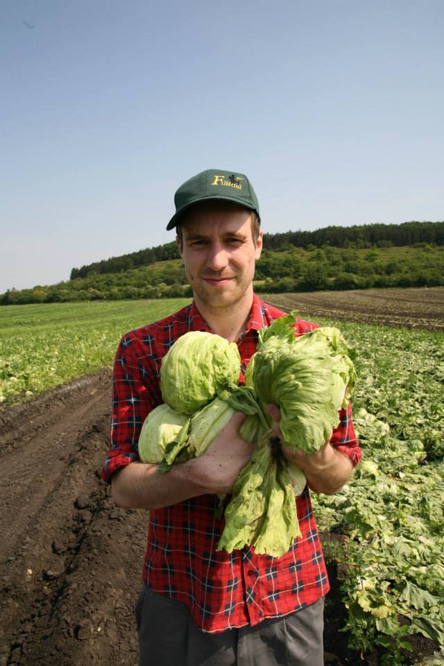 Paběrkují na českých polích. Po tunách
