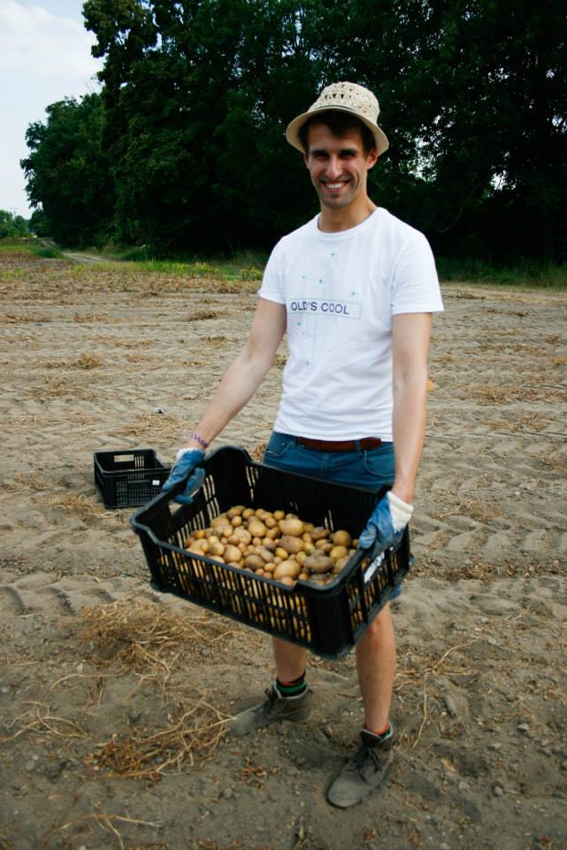 Paběrkují na českých polích. Po tunách