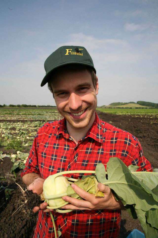 Paběrkují na českých polích. Po tunách