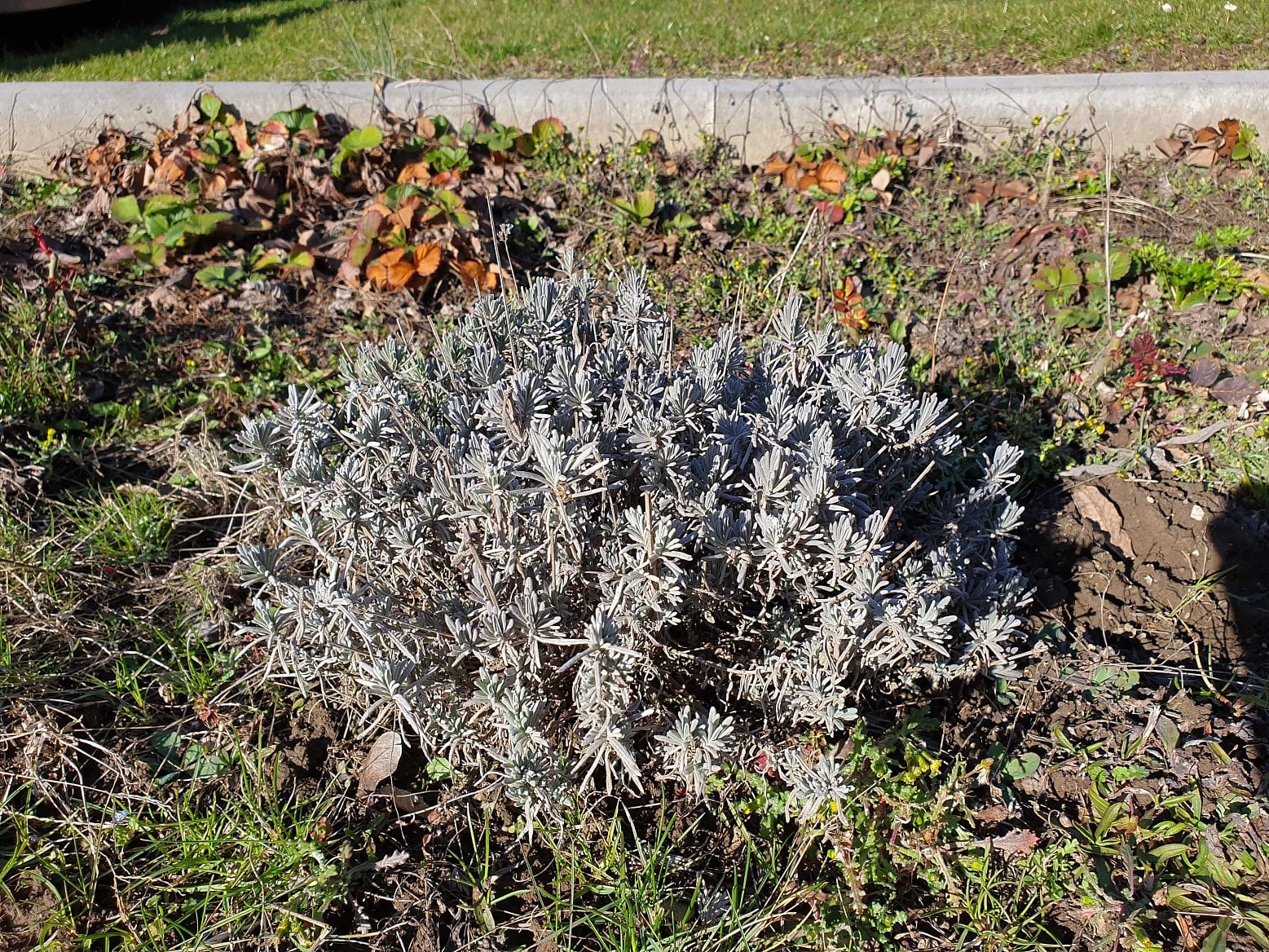 foto Samsung Galaxy S10 13