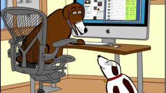 Internet dog