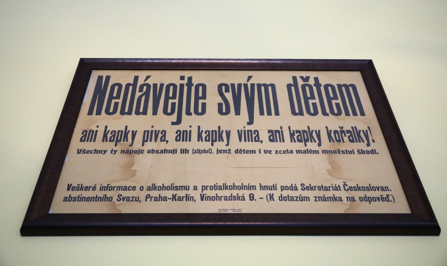 Kavárna Šlágr, úspěšný podnik v provorepublikovém stylu.