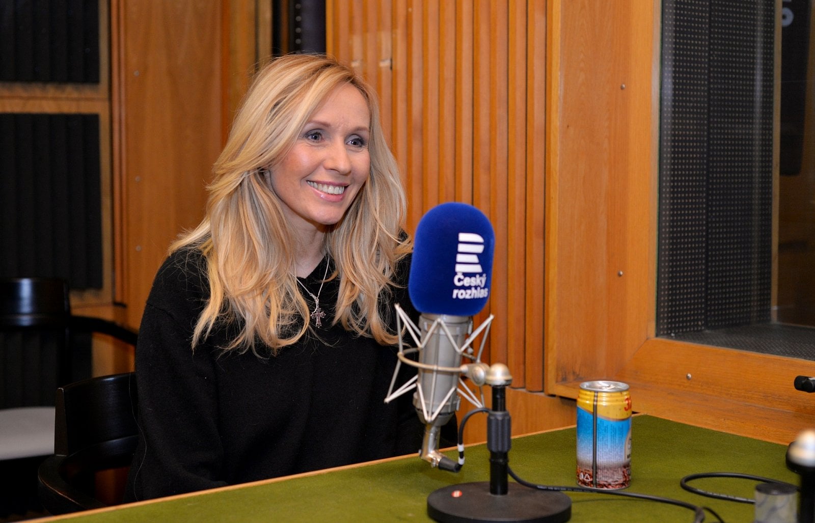 Pavel Vítek v Českém rozhlase