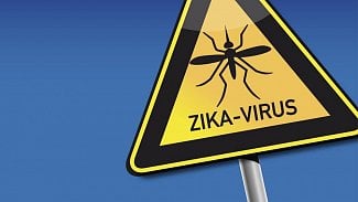 Náhledový obrázek - Virus Zika ohrožuje především těhotné ženy. Jak se přenáší?