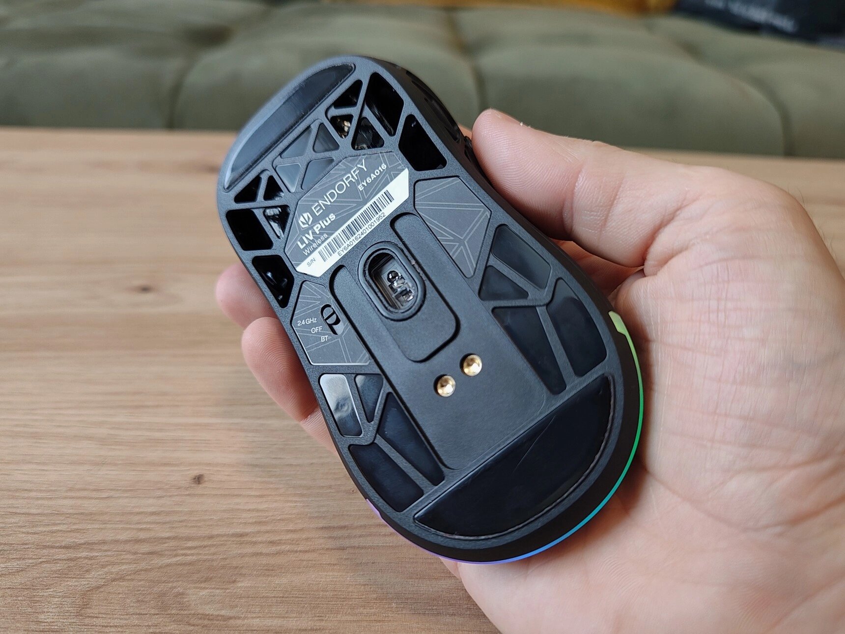 Spodní strana myši