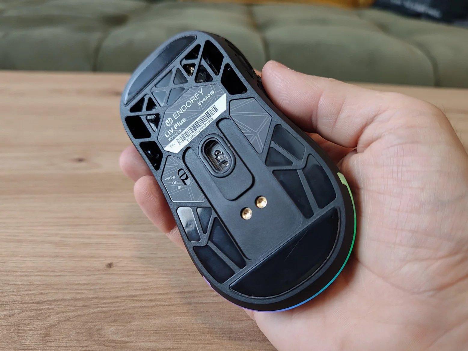 Spodní strana myši