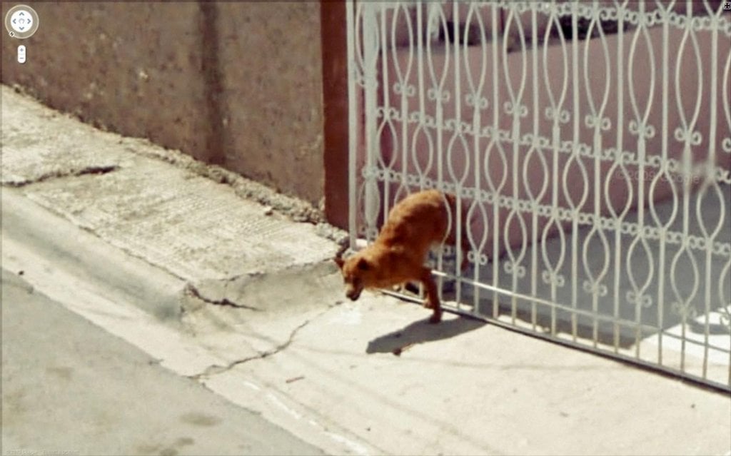 2015-12-kouzlo-nechtc49bnc3a9ho-obrc3a1zky-z-google-street-view-