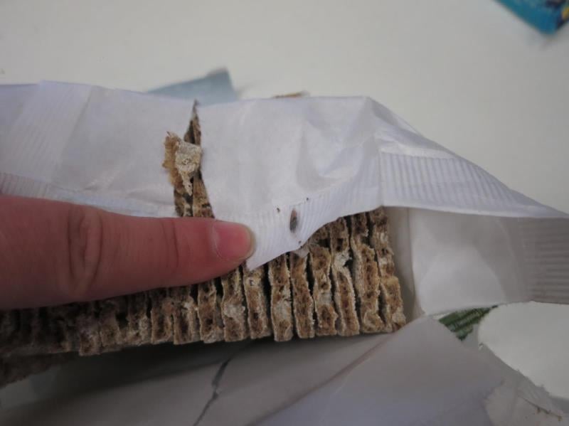 Žluklá chuť a vůně, zatuchlost, plíseň, ale i škůdci se vyskytovali na trvanlivých pekařských výrobcích