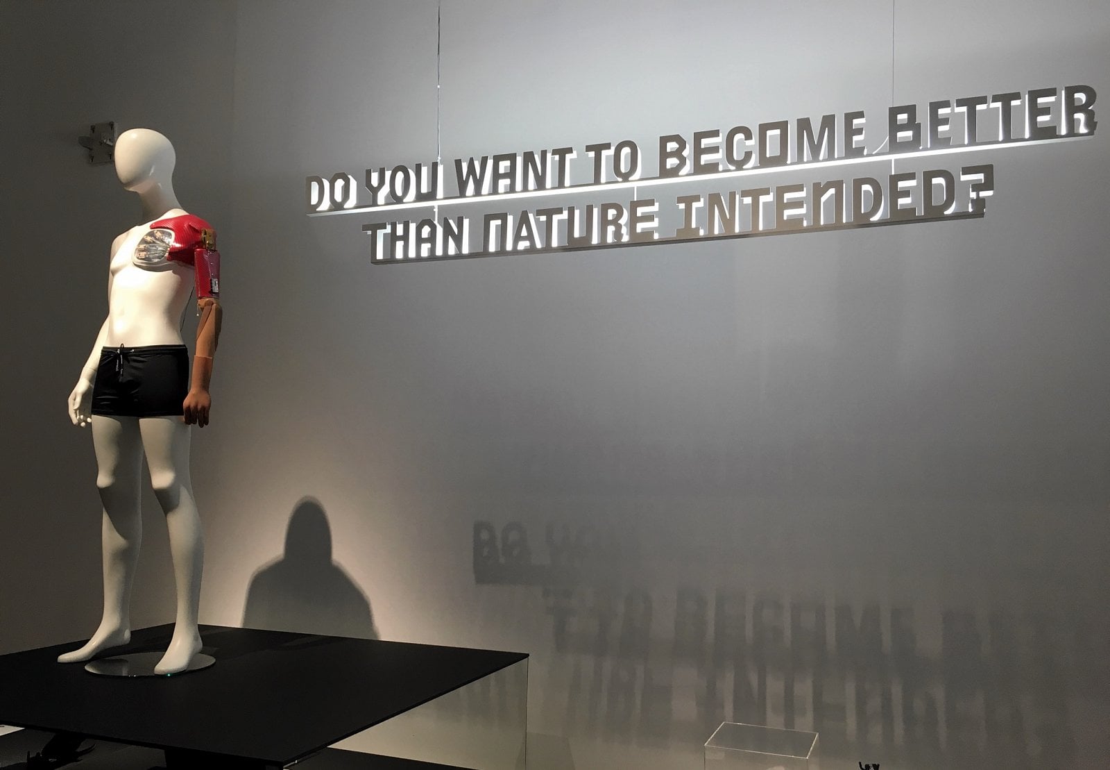 Vídeňské robotické bienále